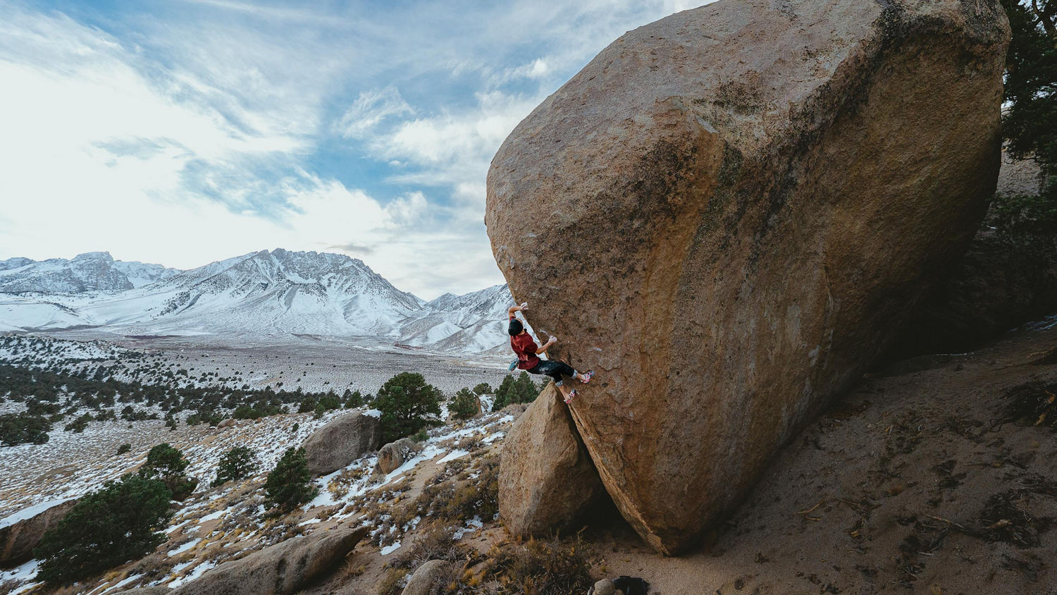 Focus—A Bishop Highball Project with Timmy Kang