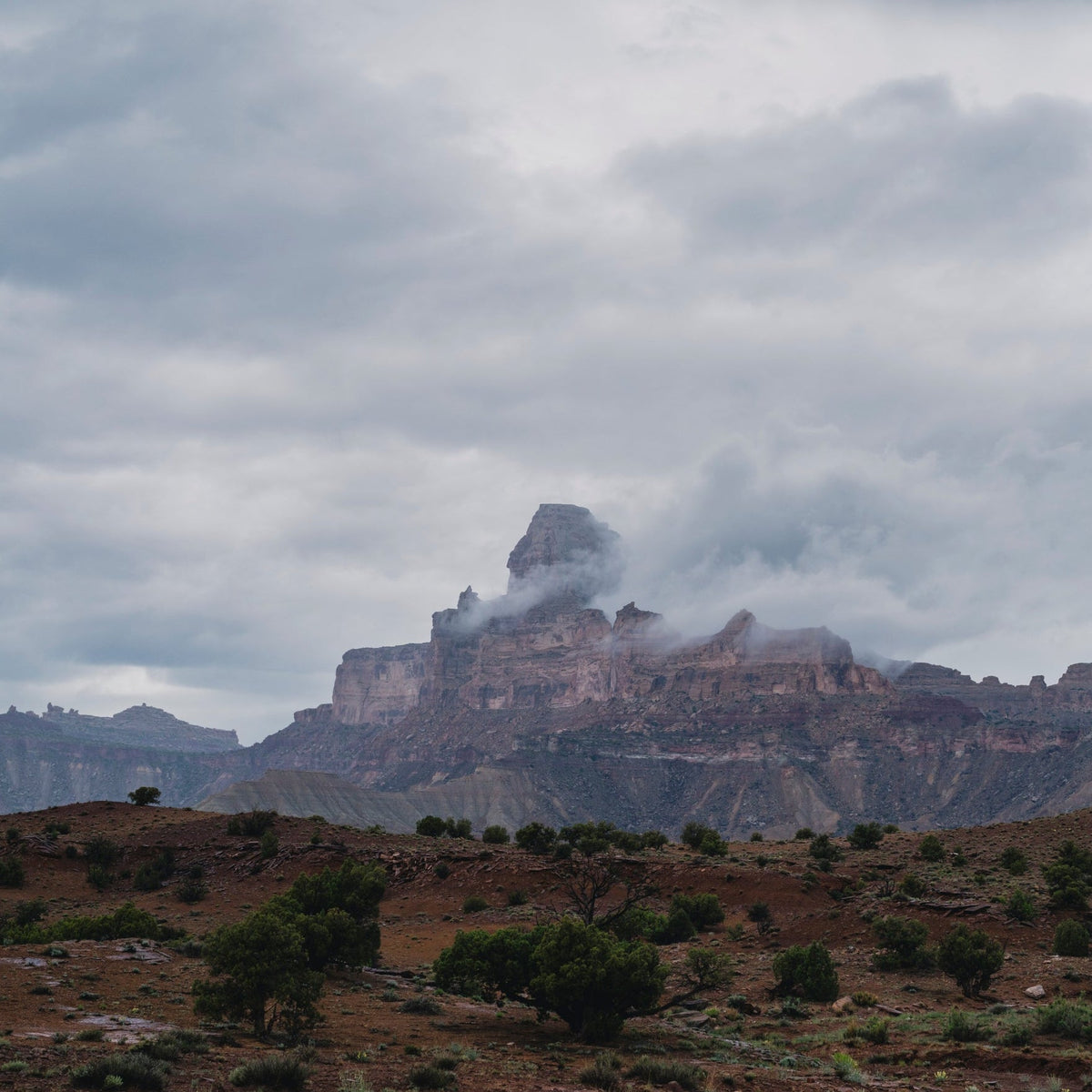 A Swell Weekend in the Desert