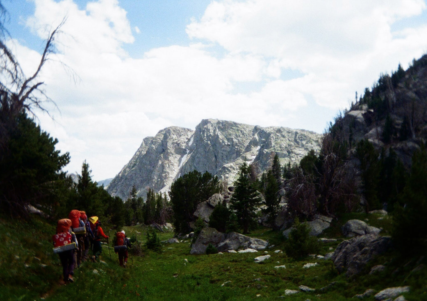 NOLS ELEVATE SCHOLARSHIP