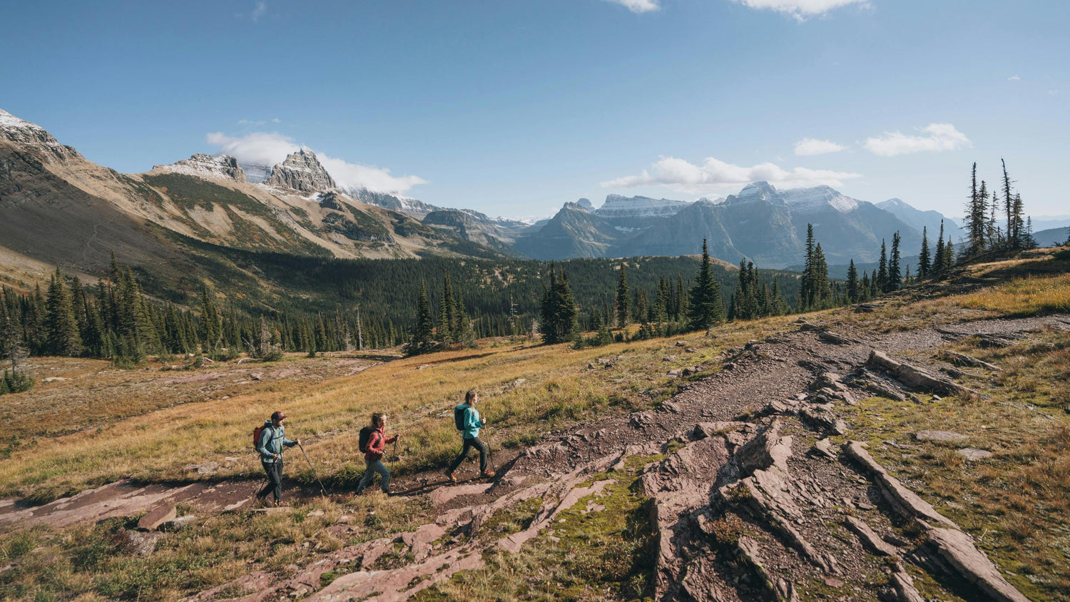 How to Choose the Right Trekking Poles