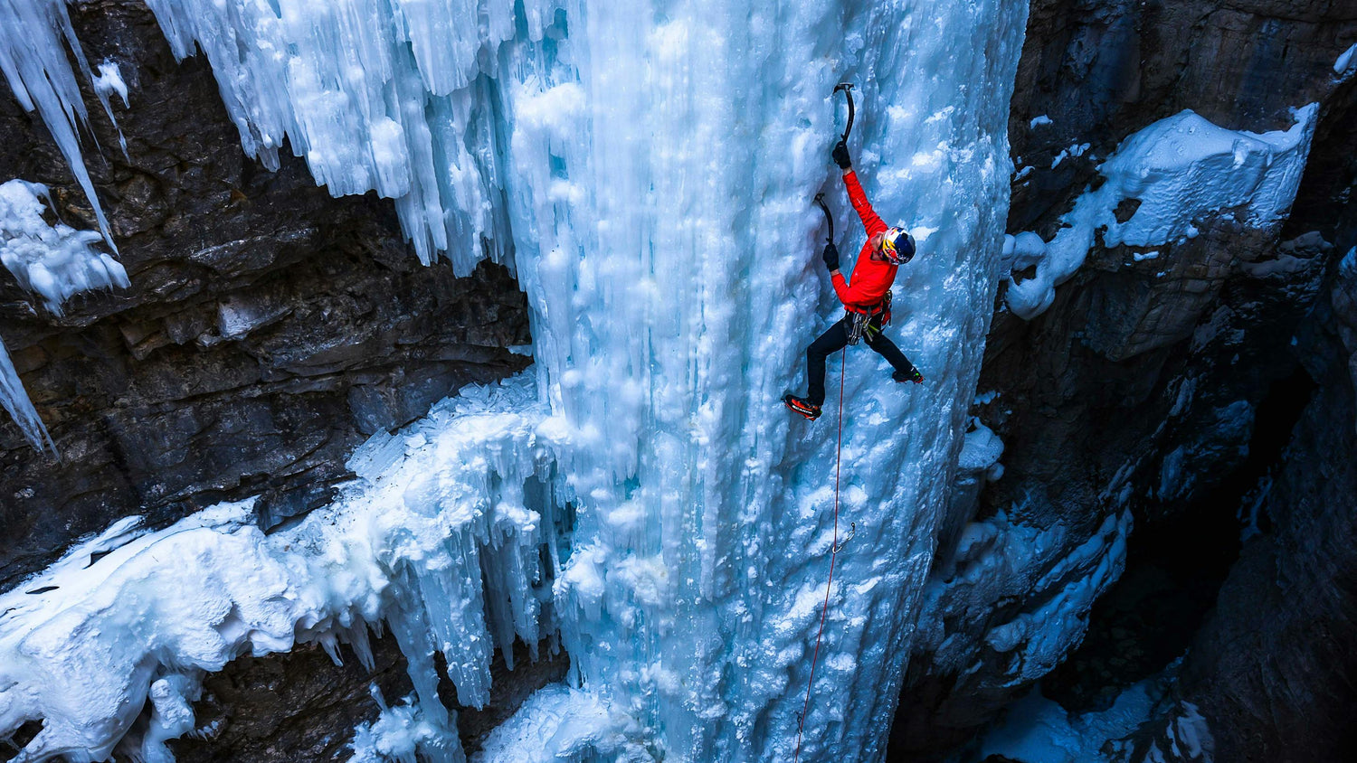 QC LAB: TO SCREAMER OR NOT TO SCREAMER?