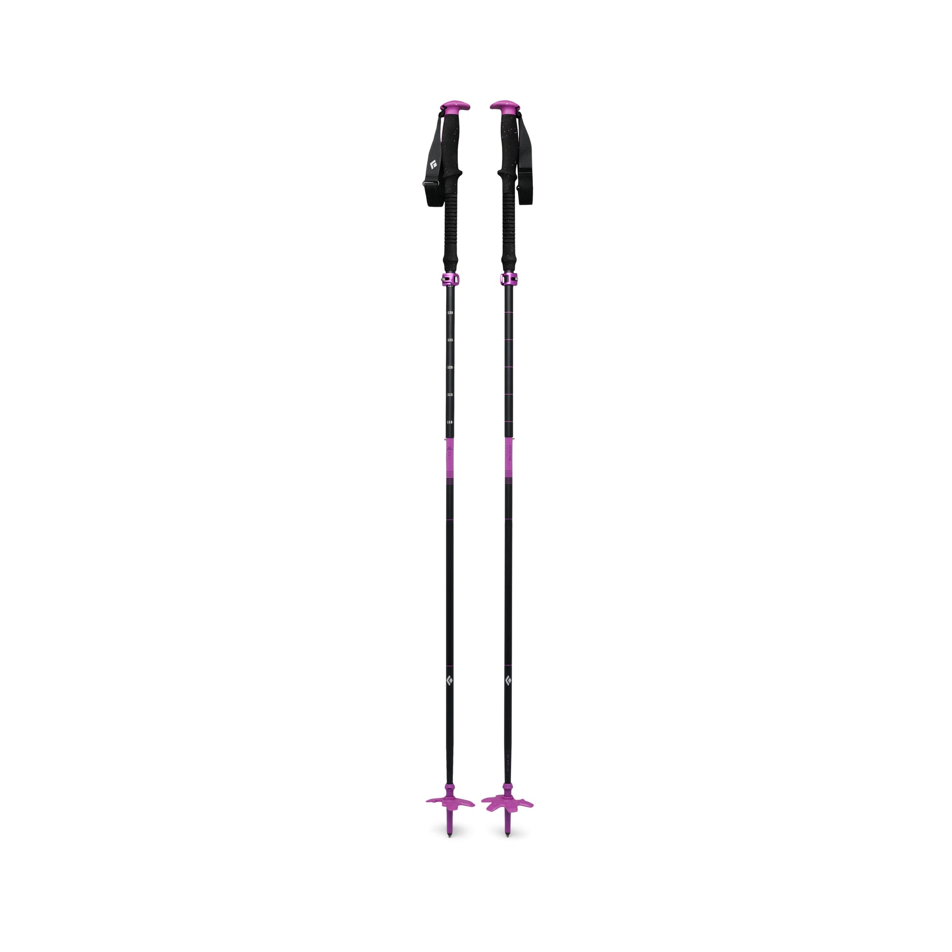 Piton Purple