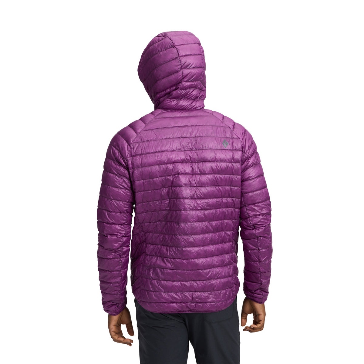 Piton Purple ~ Model is 6' 0" | Chest 40" | Waist 32" | Size Medium/32