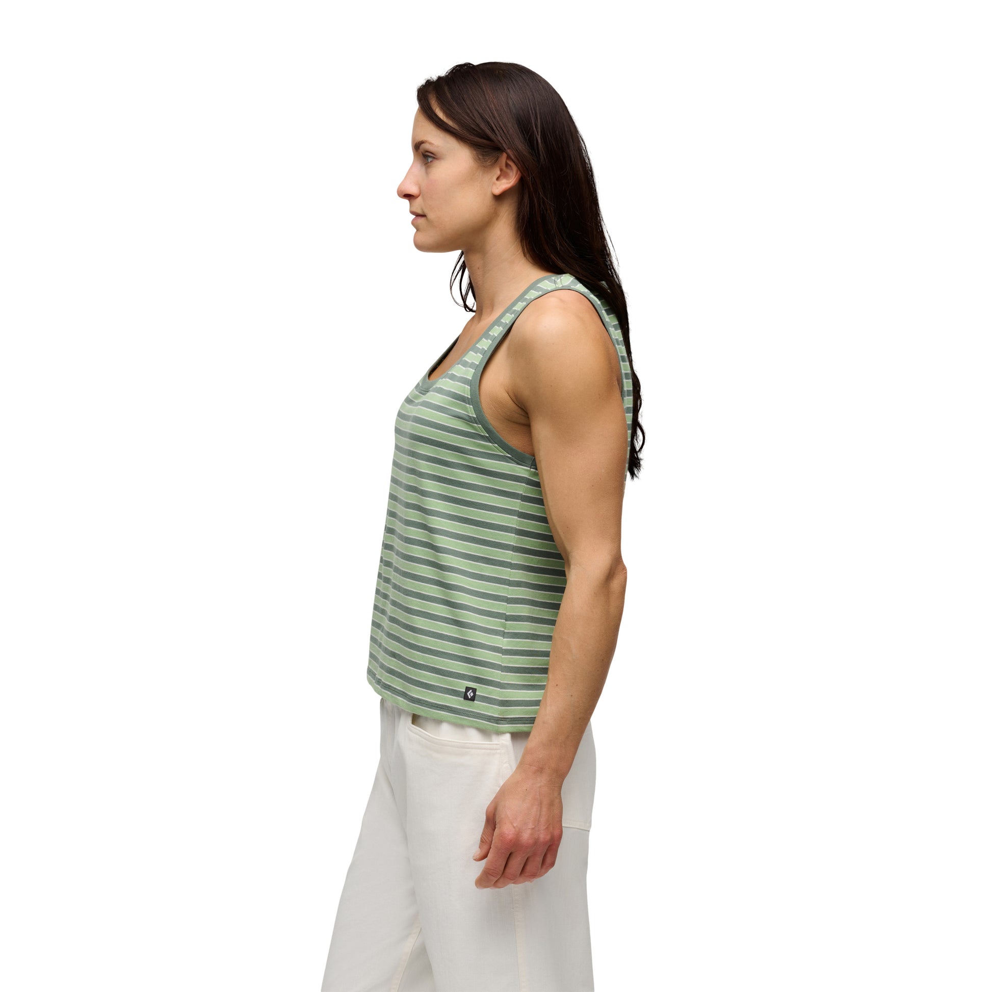 Laurel Green-Desert Sage-Alloy