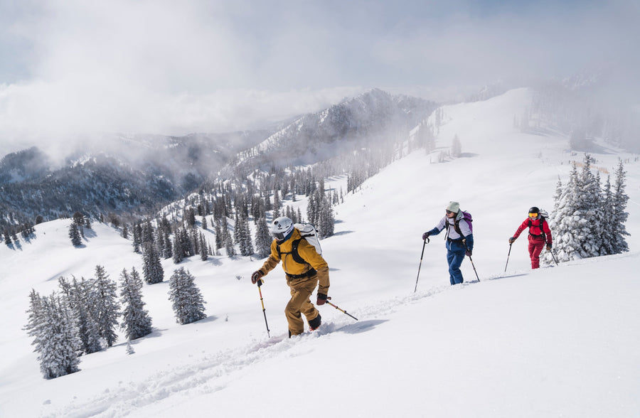 Three skiers ascend a snowy mountain slope with evergreen trees and misty peaks in the background. The skier in the foreground wears a tan and black ski suit with a white helmet, while the two skiers behind wear blue and red ski suits with white helmets.