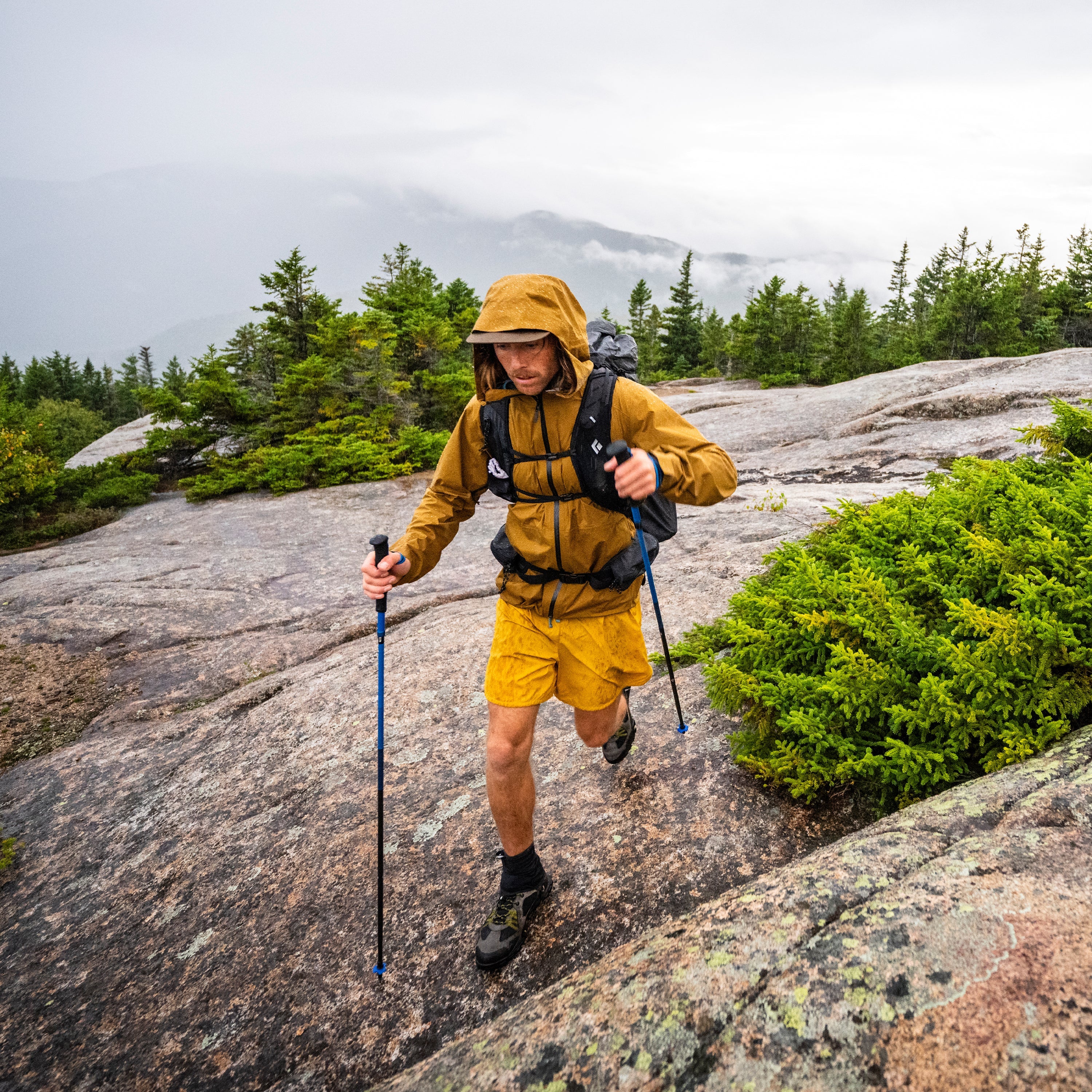 Trekking Poles, Hiking Poles & Walking Poles | Black Diamond