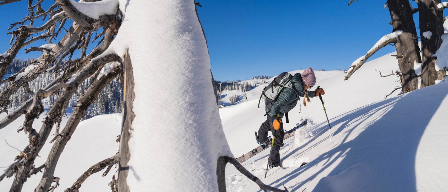 A splitboarder makes a kick-turn around a tree.