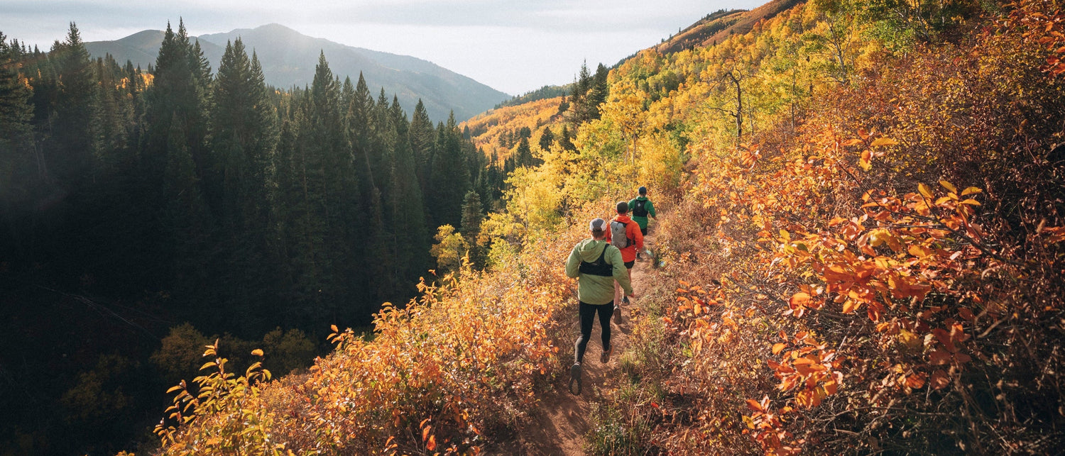 Three hikers on a trail in fall colors.